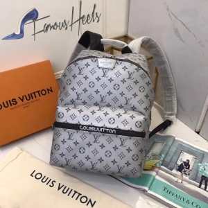 Louis Vuitton Backpack 001